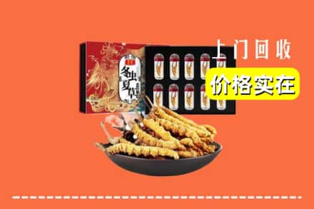 湛江市坡头回收冬虫夏草